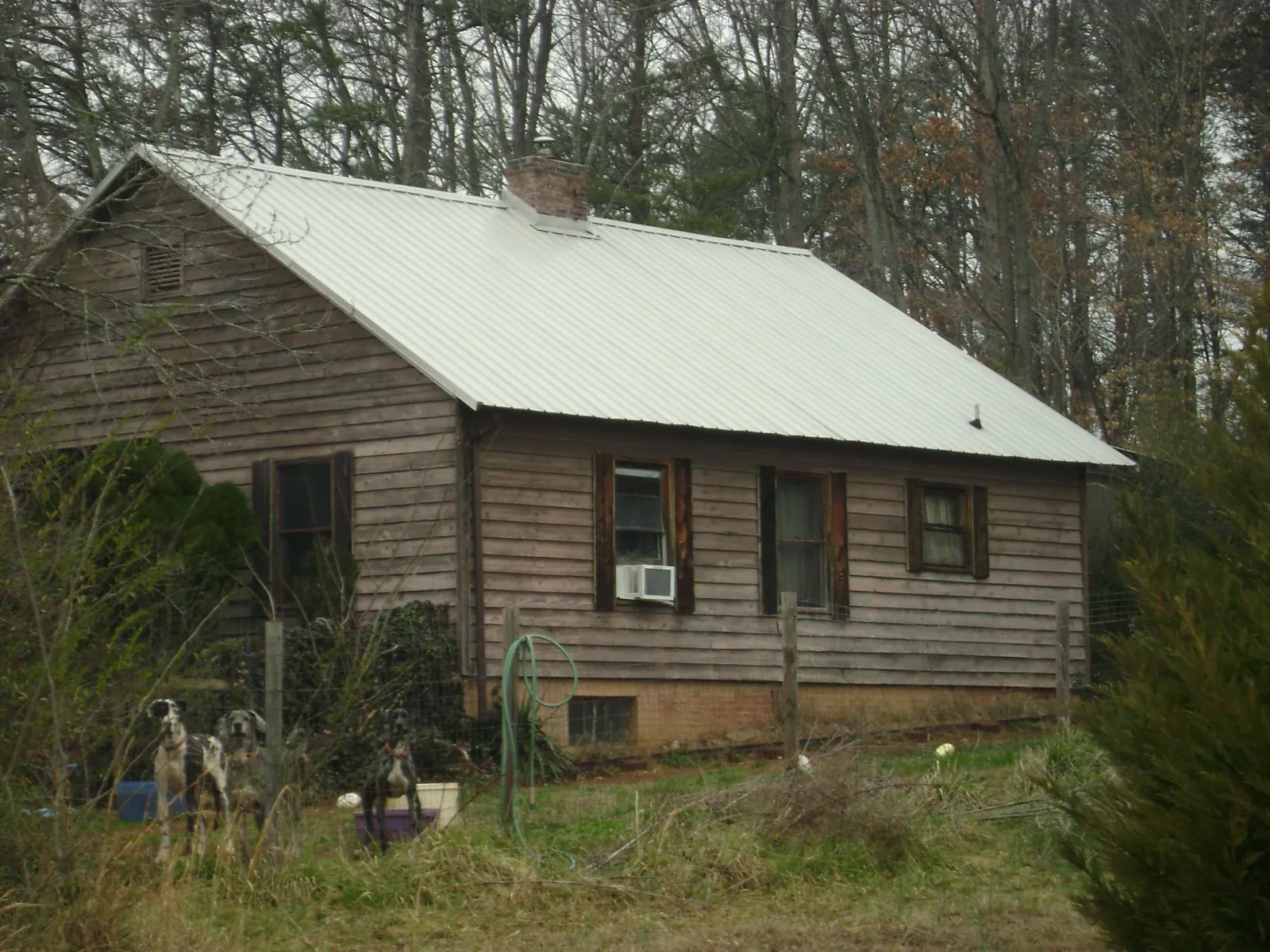 White metal roof on an old wood sided farmhouse, from a Asphalt Shingle Roof Repair job in Oneonta